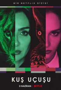 Полёт птицы бесплатно